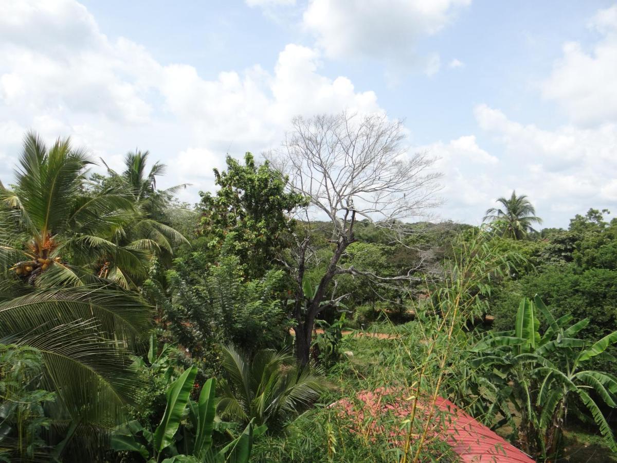 Kumudu Holiday Home Anuradhapura Kültér fotó